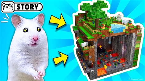 hamster maze videos